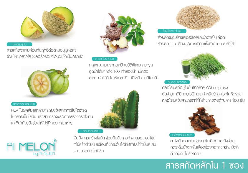 เอไอ เมลอน (AI MELON By AI-SLEN) โปรสุดคุ้ม