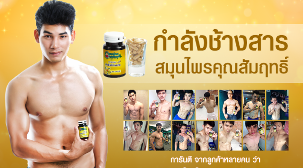 กำลังช้างสาร สมุนไพรคุณสัมฤทธิ์