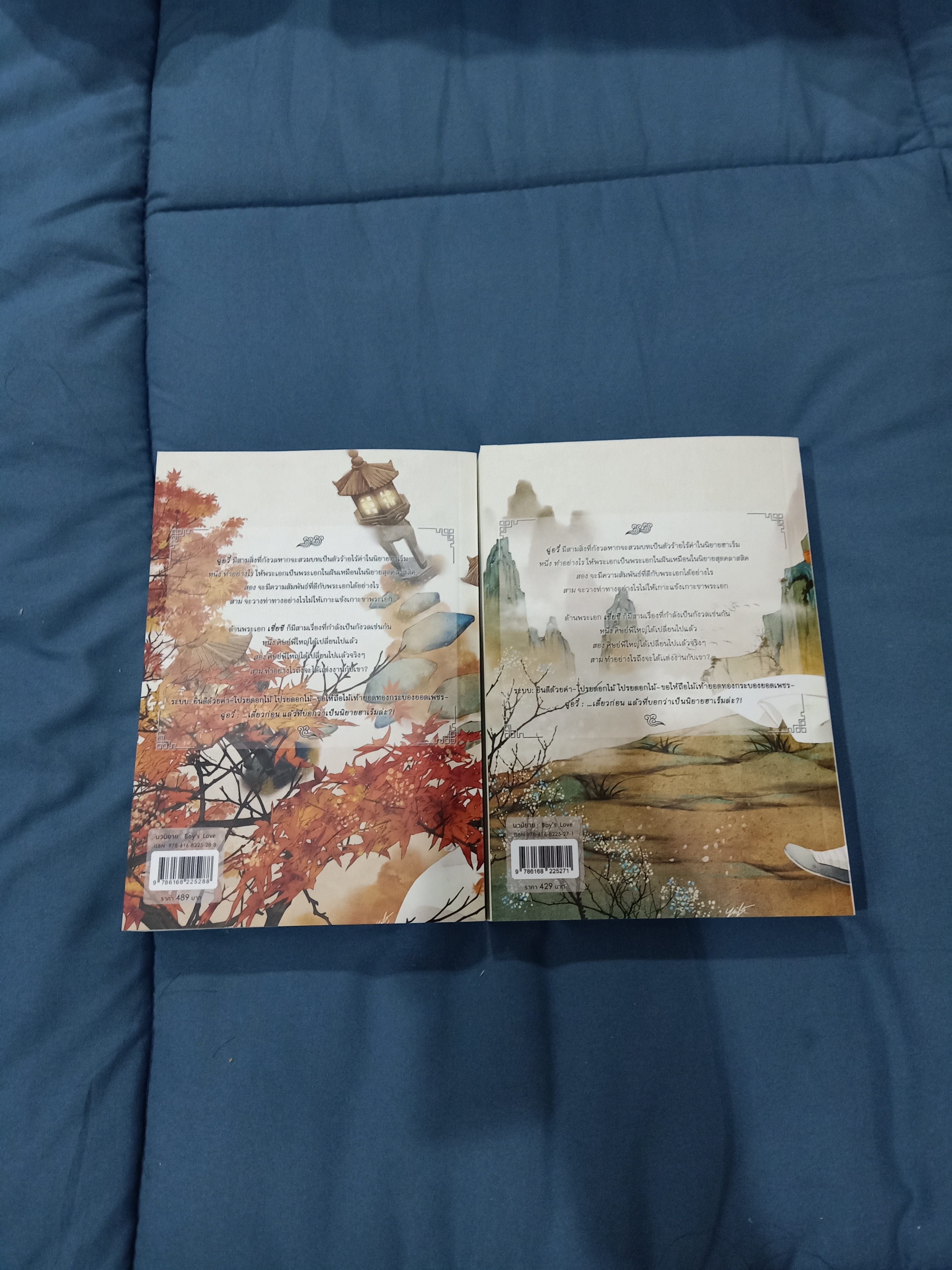 Boxset นิยายแปล ตัวละครเอกพยายามจะข้าทุกวัน รอบจอง
