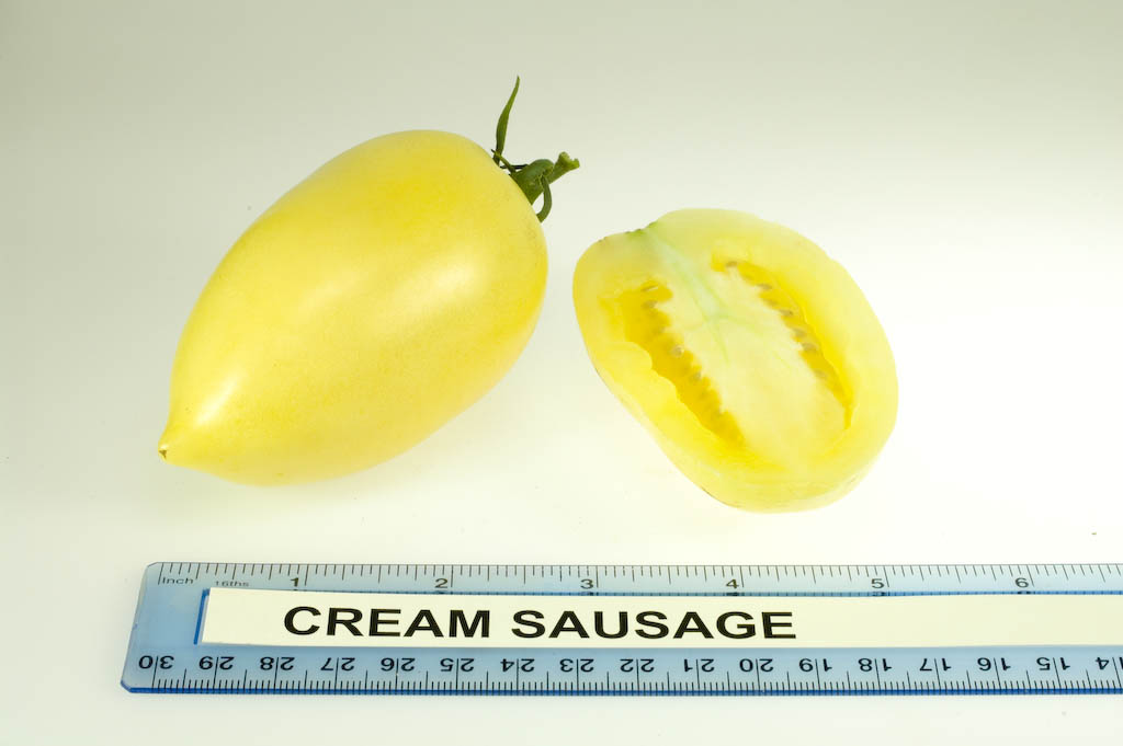 มะเขือเทศซอสเซจสีครีม - Cream Sausage Tomato