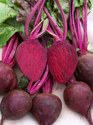 บีทดีทรอยต์ - Detroit Beet