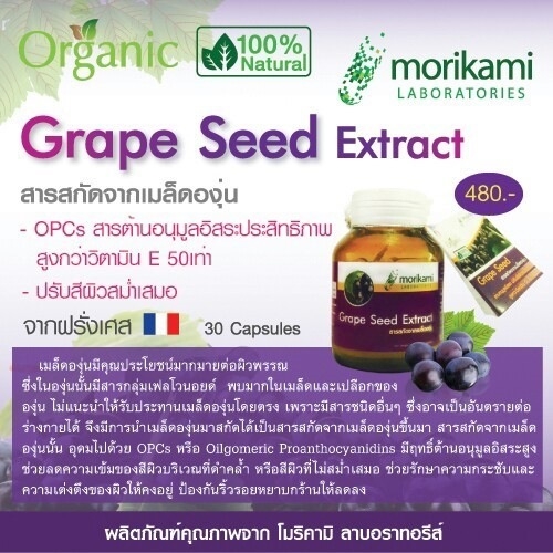เกรพซีด (Grape Seed) สารสกัดจากเมล็ดองุ่น
