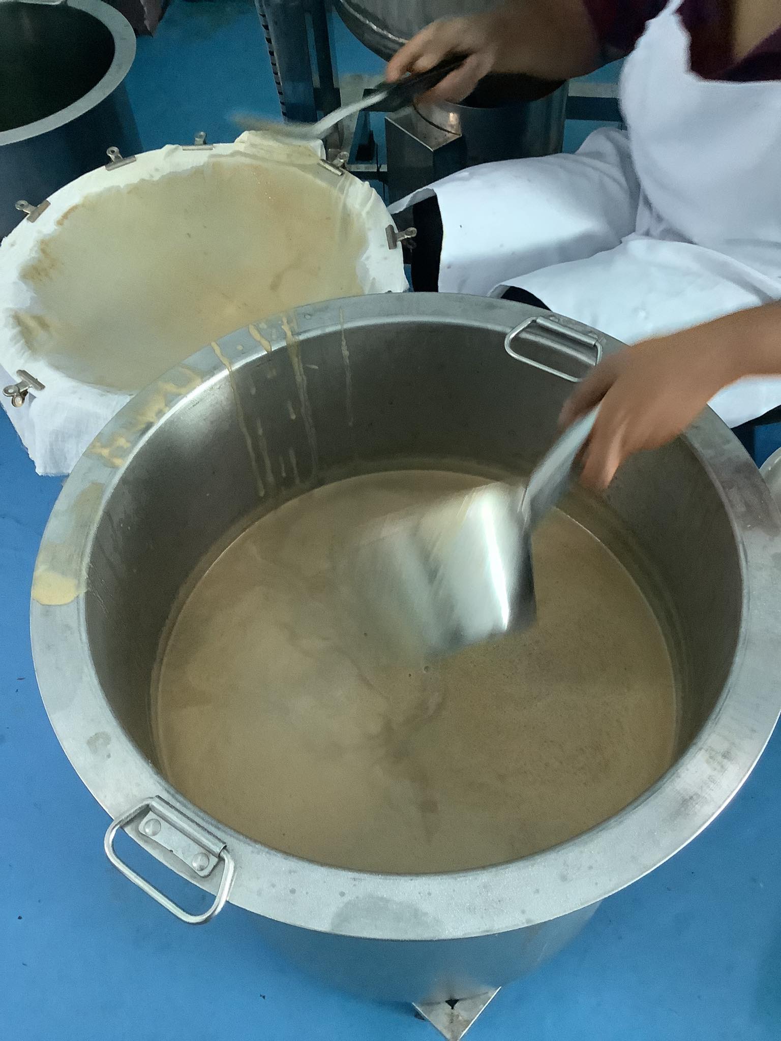 กระชายขาวสกัด บรรจุ 100 เม็ด มีอย. 50-2-05257-6-0115 ไม่ผสมอย่างอื่น กระชายสกัดเข้มข้น 100% กระชายขาวแคปซูล เป็นสารสกัดละลายน้ำได้ สกัดโดยเครื่อง Spray Dry กระชายขาวสกัด Galingale, Chinese ginger กระชายขาว ช่วยบำรุงธาตุ