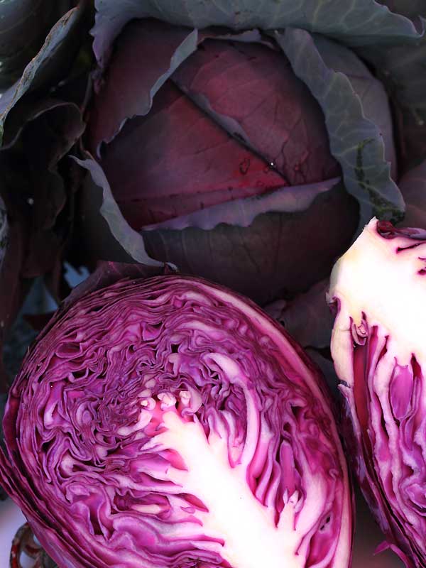 กะหล่ำปลีสีม่วง - Mammoth Red Rock Cabbage