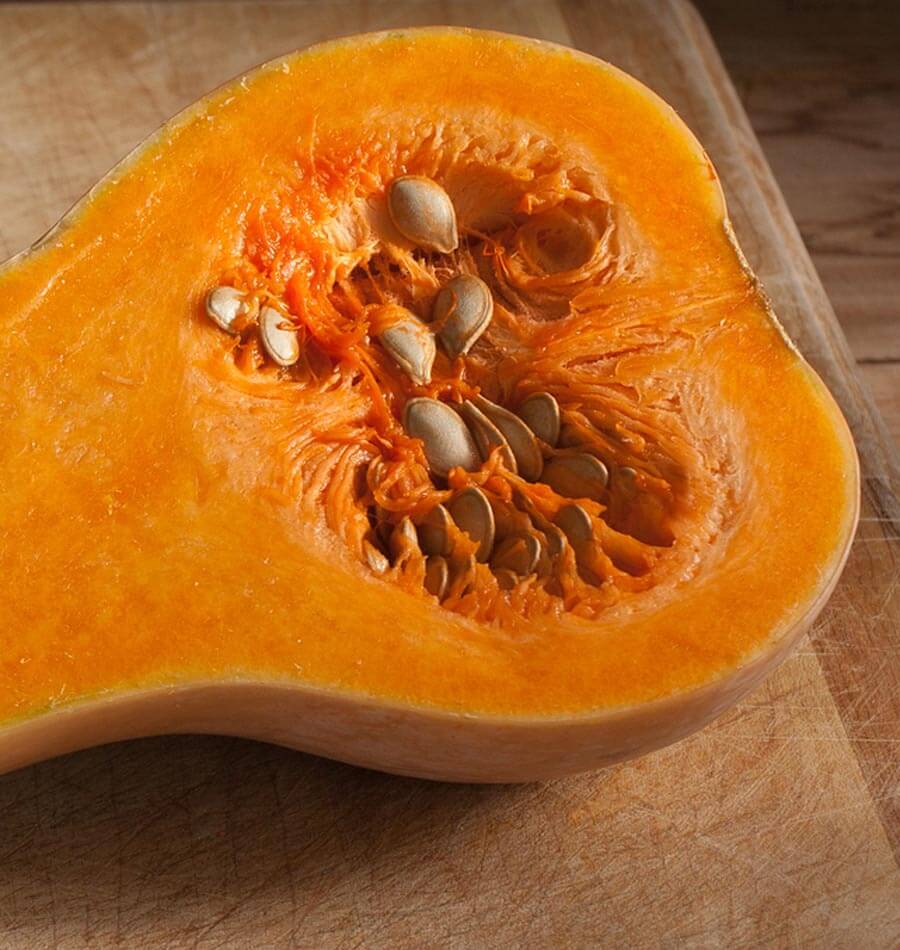 ฟักบัตเตอร์นัท - Waltham Butternut Squash
