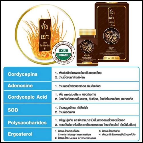 ถั่งเช่า ผสมมัลติวิตามิน บี Cordyceps Plus Multi Vitamin B