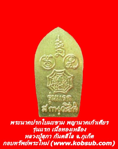 พระนาคปรกใบมะขาม พญานาคเก้าเศียร รุ่นแรก เนื้อทองเหลือง หลวงปู่สุภา กันตสีโล