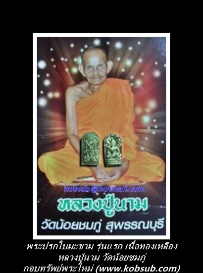 พระปรกใบมะขาม รุ่นแรก เนื้อทองเหลือง หลวงปู่นาม วัดน้อยชมภู่