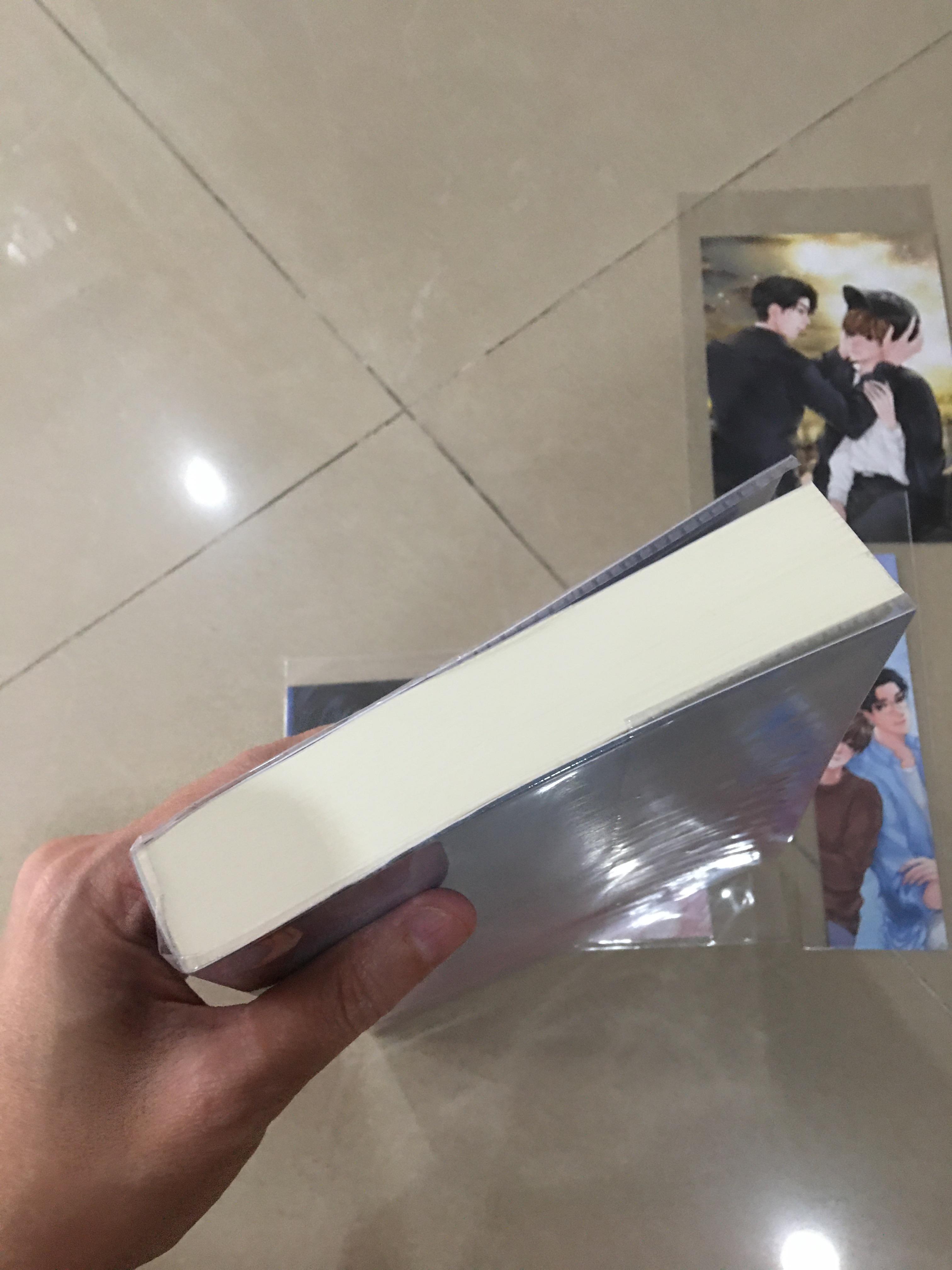 นิยายแต่ง ภาวะรักซ้อน รอบจอง 3 วันแรก