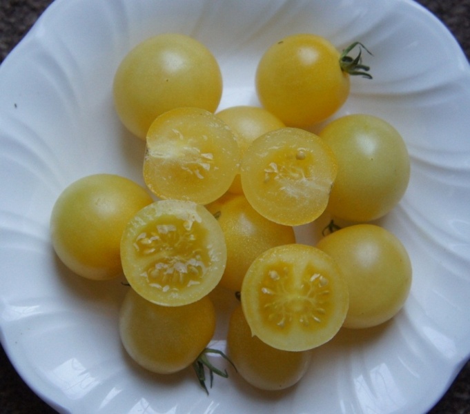 มะเขือเทศเชอรี่สีขาว - White Cherry Tomato