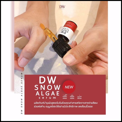 DW Snow Algae Serum เซรั่มสาหร่ายหิมะ