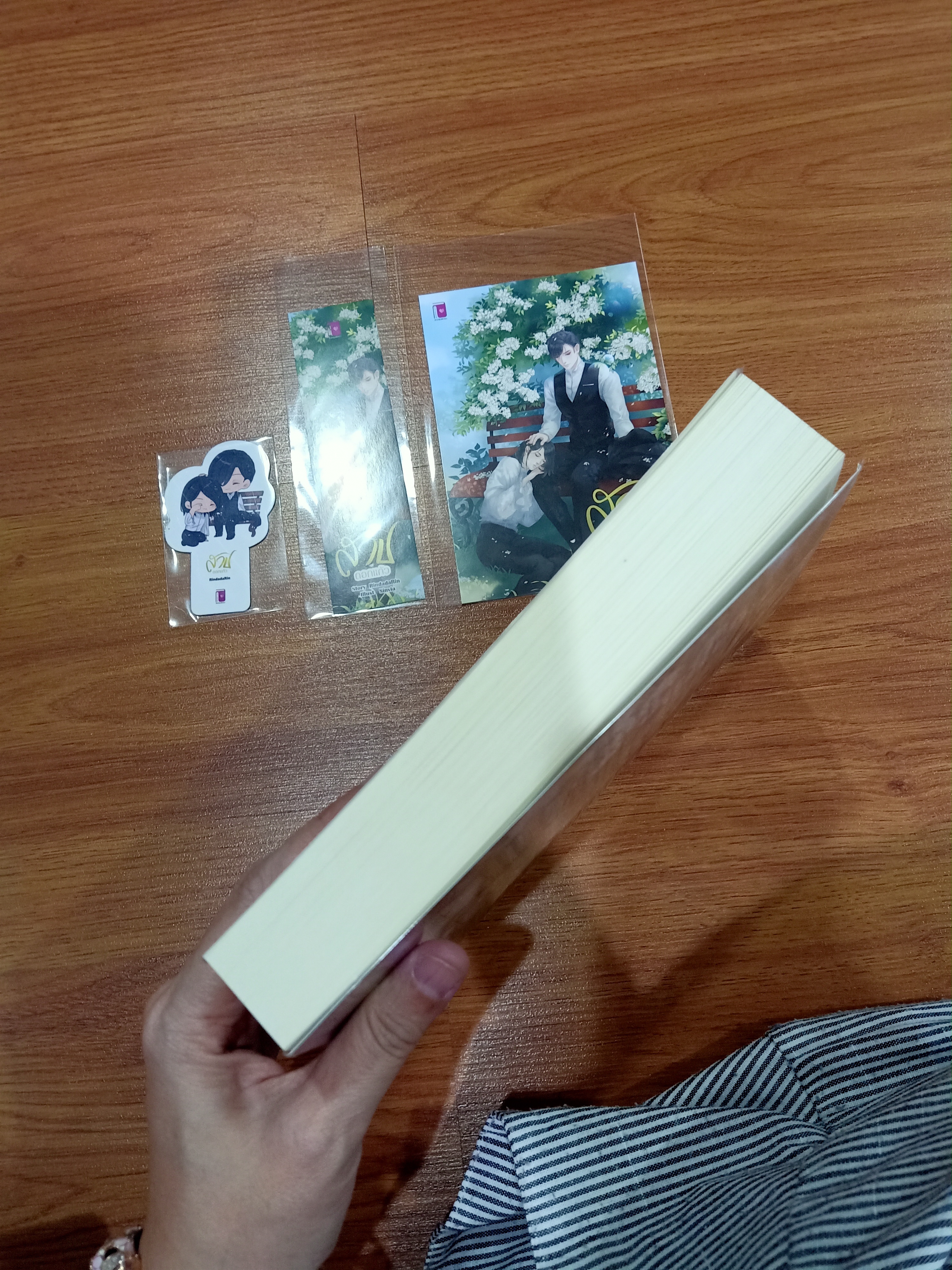 นิยายแต่ง สาปดอกแก้ว รอบจอง