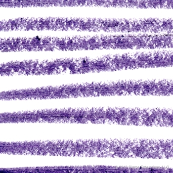 SIGMA :: Extended Wear Eye Liner - Electrify อายไลเนอร์สี Electrify ให้ดวงตากลมโต สีติดทนนาน ปราศจากสารกันเสีย