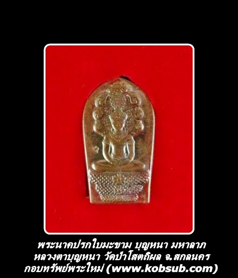 พระนาคปรกใบมะขาม บุญหนา มหาลาภ หลวงตาบุญหนา วัดป่าโสตถิผล จ.สกลนคร
