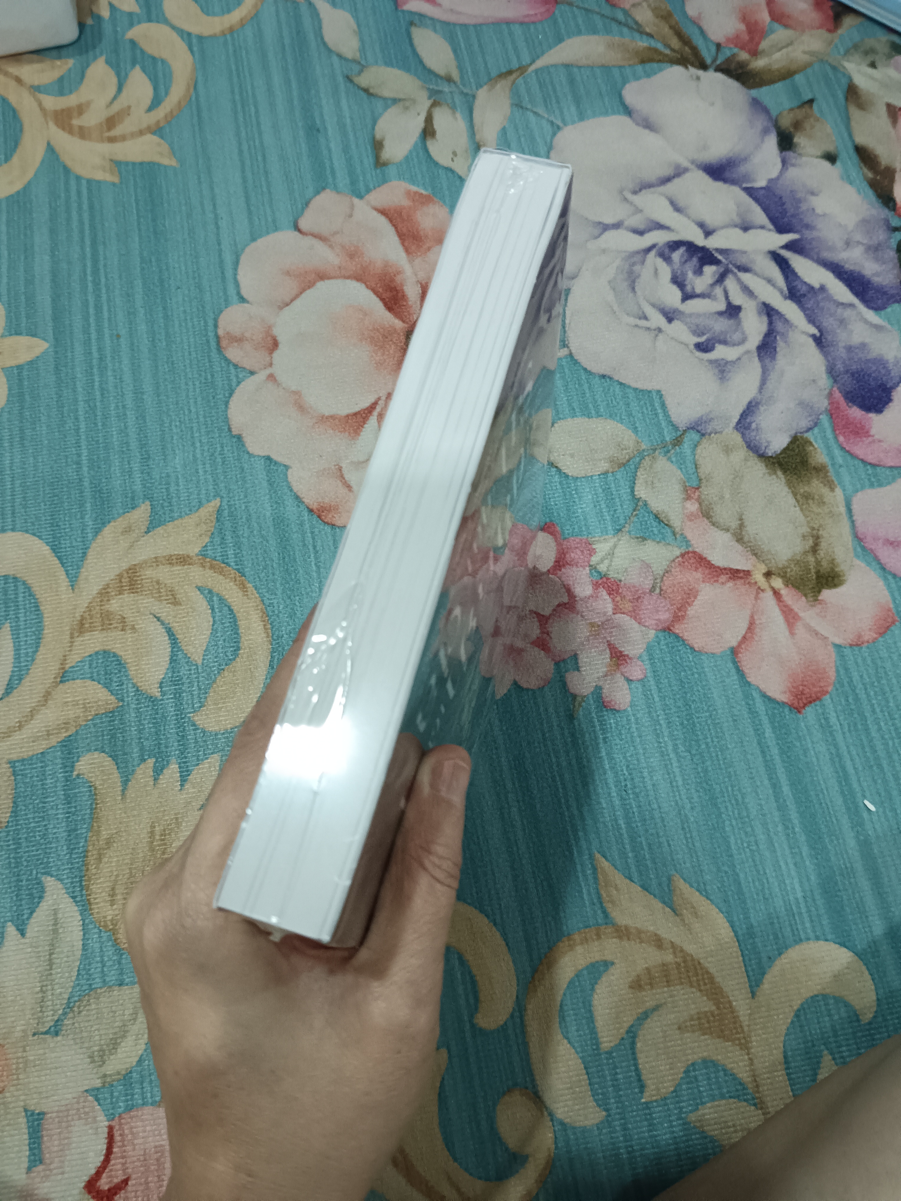 การ์ตูน คำขอร้องหย่าเพื่อกับมารักคุณต่อ เล่ม 1 ยังไม่จบ