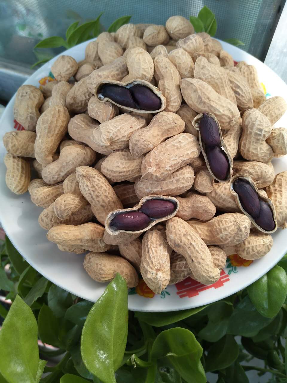 ถั่วลิสงผิวดำ - Black Peanut