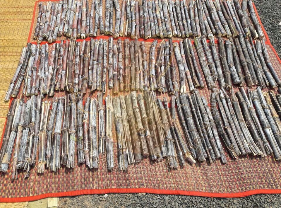 ชาอ้อยแดง ผสมใบเตย Sugar cane tea ขนาดบรรจุ 100 ซองชา เหมาะสำหรับบำรุงไต บำรุงธาตุ ขับปัสสาวะ ขับนิ่ว ลดตัวบวม สินค้ามาตรฐานวิสาหกิจชุมชน ผลิตโดยเครื่องจักรที่ทันสมัย รับประกันความพอใจของสินค้า