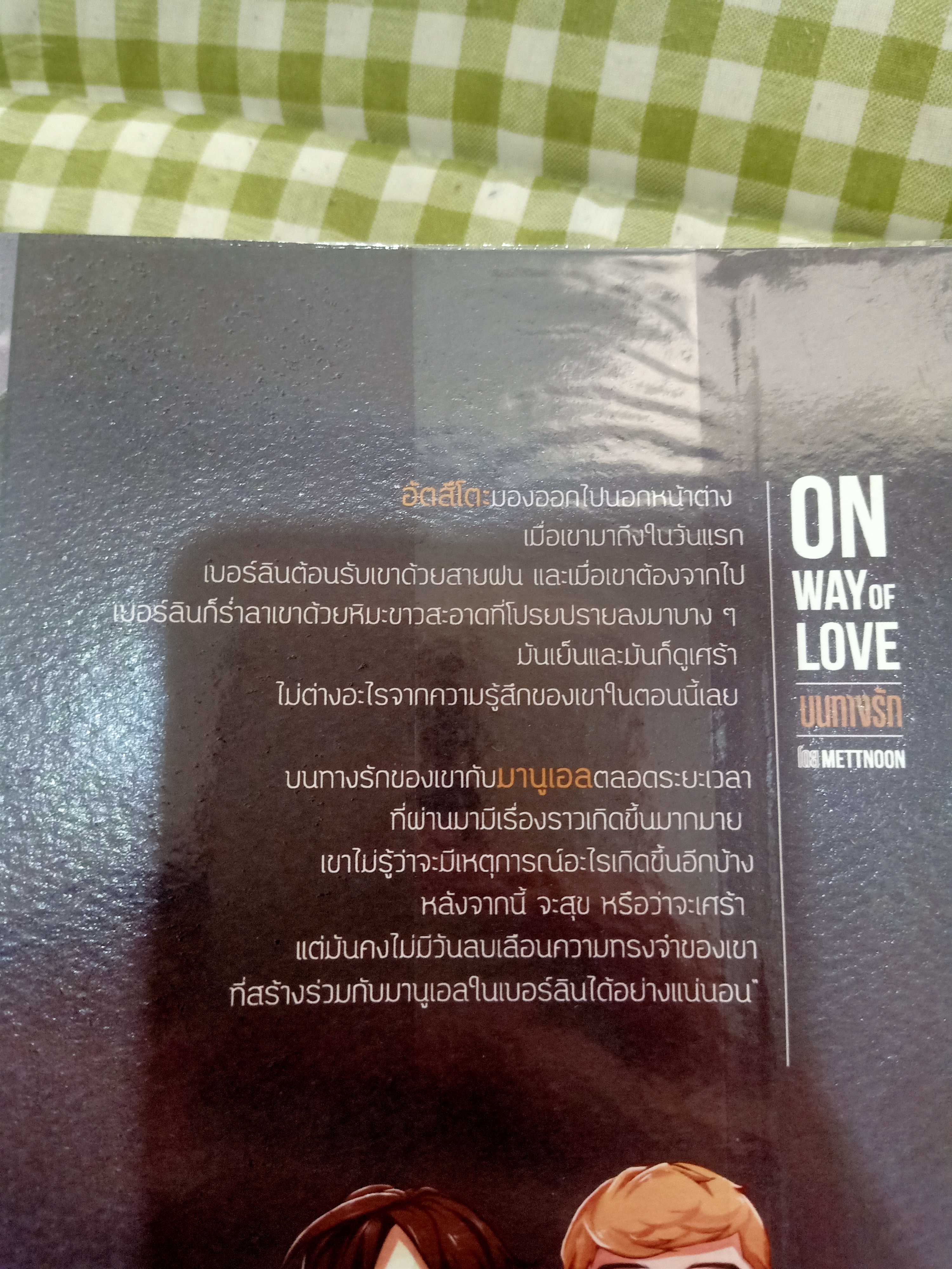 นิยาย On way of love บนทางรัก ตำหนิ