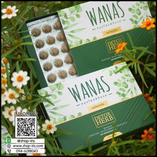สมุนไพรดีท็อกซ์ WANAS Detox Herb (โปรส่งฟรี)
