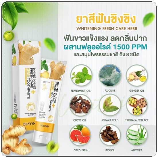 ยาสีฟันขิงขิง Khing Khing Fresh Care Herb Toothpaste ยาสีฟันบียอน (1แถม1)