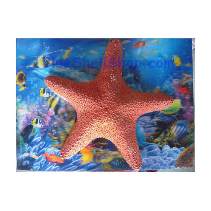 ปลาดาวส้ม