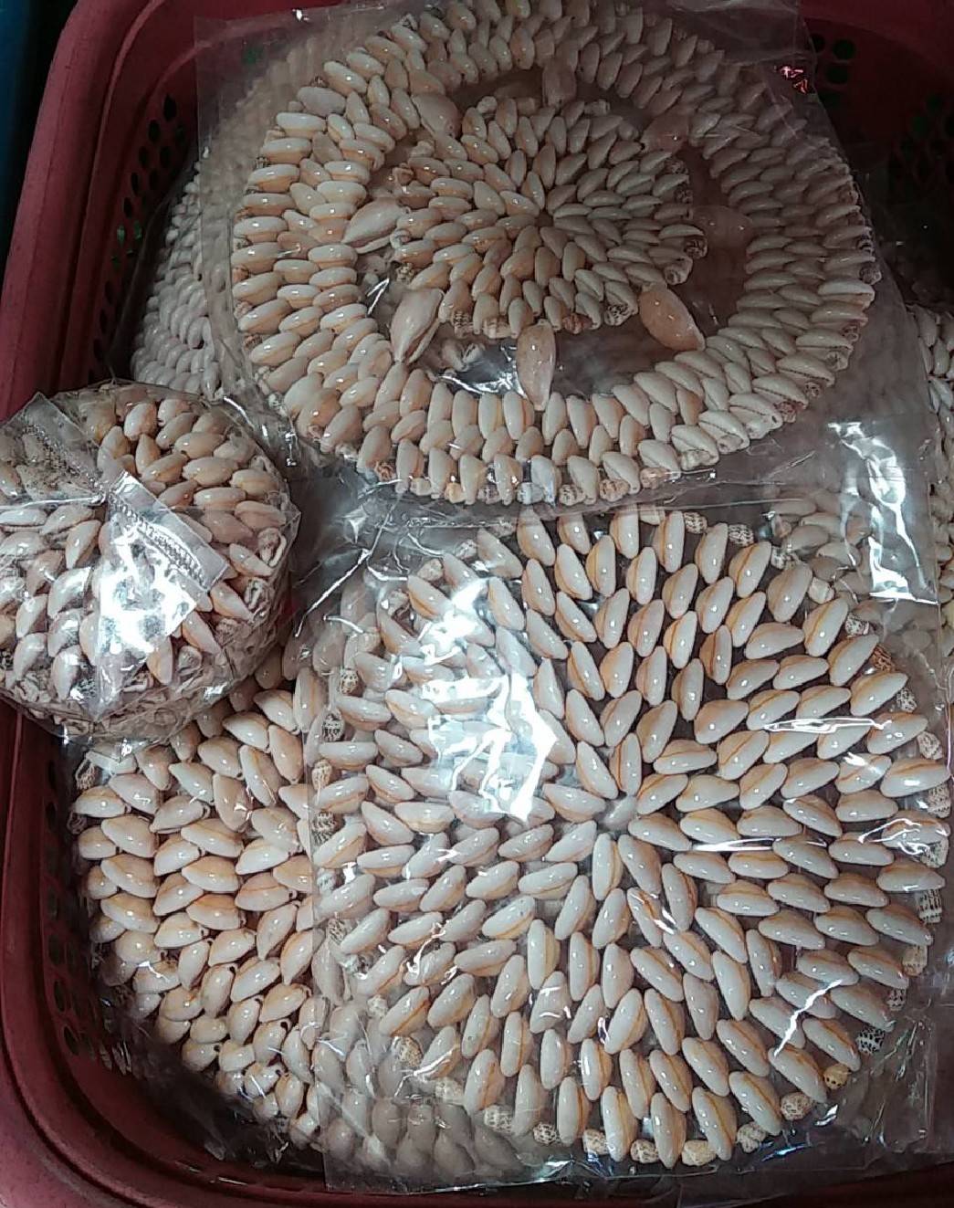 จานรองแก้วจากเปลือกหอยเบี้ยเซ็ต6 ชิ้น