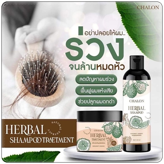 แชมพูมะกรูดชลอน Chalon Herbal Shampoo (แถมฟรี ทรีทเม้นชลอน)