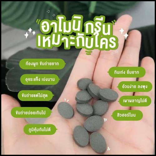 อาโมนิ กรีน Amoni Green ดีท็อกซ์ผัก