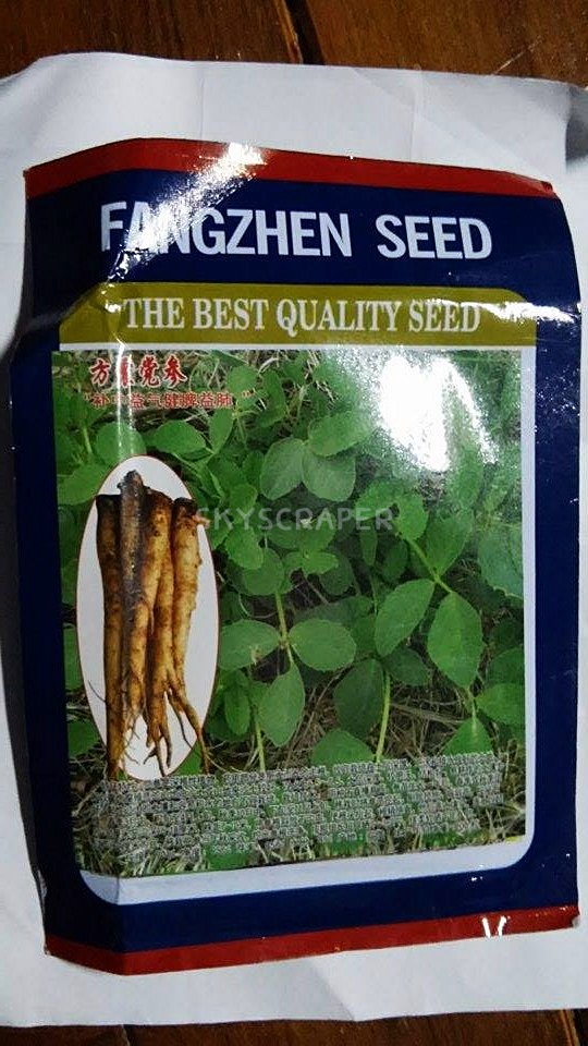 อึ่งคี้ - Huang Qi