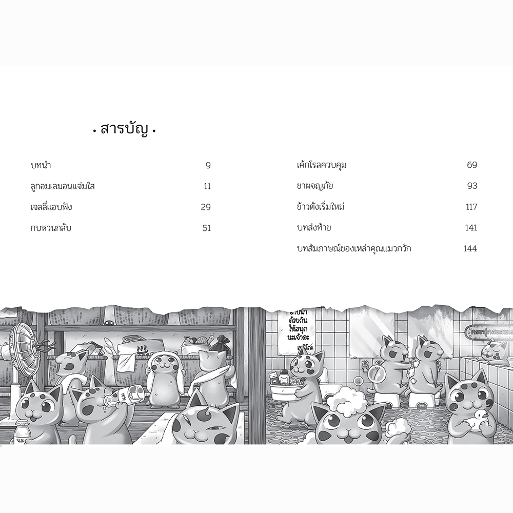 เซนิเท็นโด ร้านลึกลับกับขนมวิเศษ เล่ม 10 ตอน ตอน เด็กชายผู้ขออาศัย วรรณกรรม 8-15 ปี