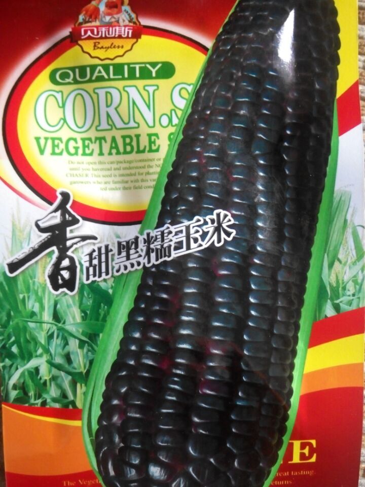 ข้าวโพดสีดำ - ฺBlack Corn
