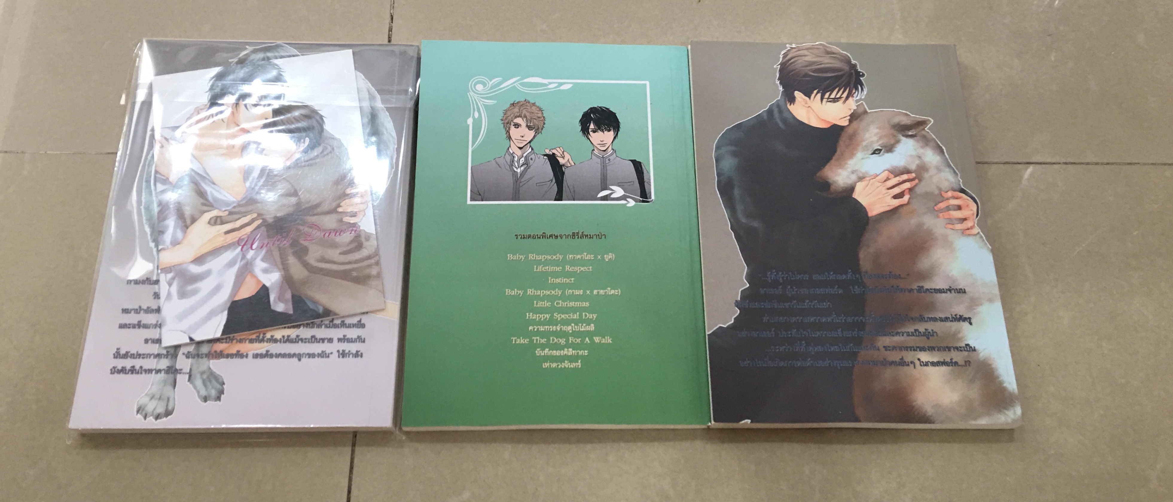 นิยายแปล ซีรี่ยส์หมาป่า 3 เล่ม