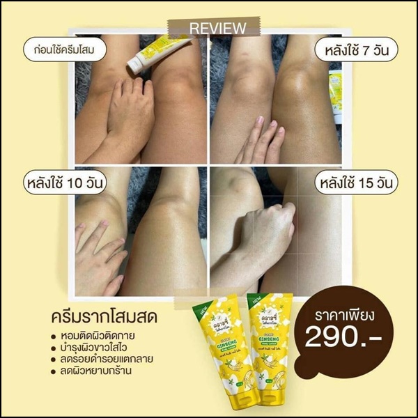 คลาสซี่ โลชั่นรากโสม Classy Ginseng Body Lotion รากโสมคลาสซี่ (ของแท้ ส่งฟรี)
