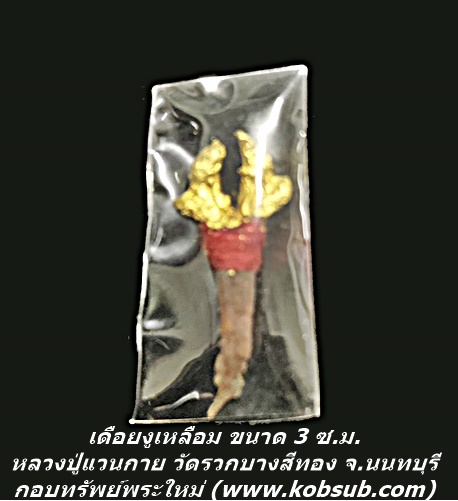 เดือยงูเหลือม ขนาด 3 ซ.ม. หลวงพ่อแวนกาย พันธสาโร