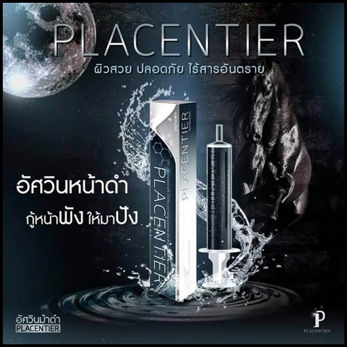 พลาเซนเทียร์ อัศวินม้าดำ PLACENTIER
