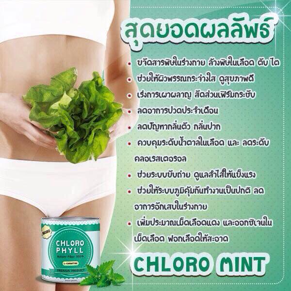 คลอโรมิ้นต์ Chloro Mint คลอโรฟิลล์ (Chloro Phyll Nature Fiber 100%)