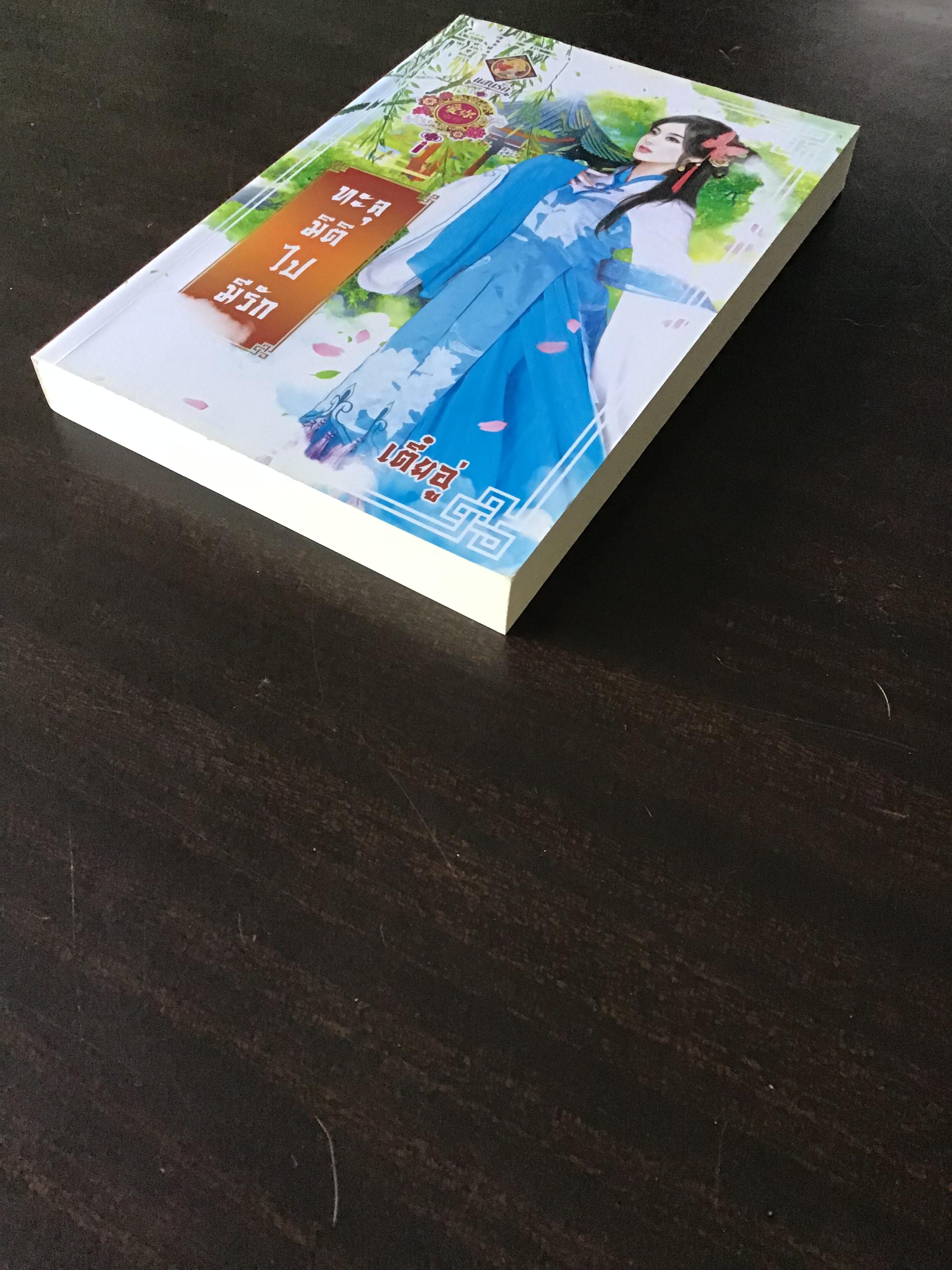 ทะลุมิติไปมีรัก/เตี๋ยอู่