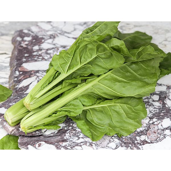 สวิสชาร์ดญี่ปุ่นอุไมนะ - Umaina Swiss Chard