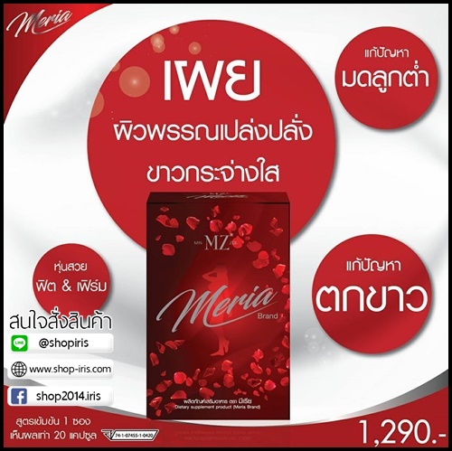 มินโซล มีเรีย Meria By Min MZ Zol อกฟู รูฟิต แบบชง