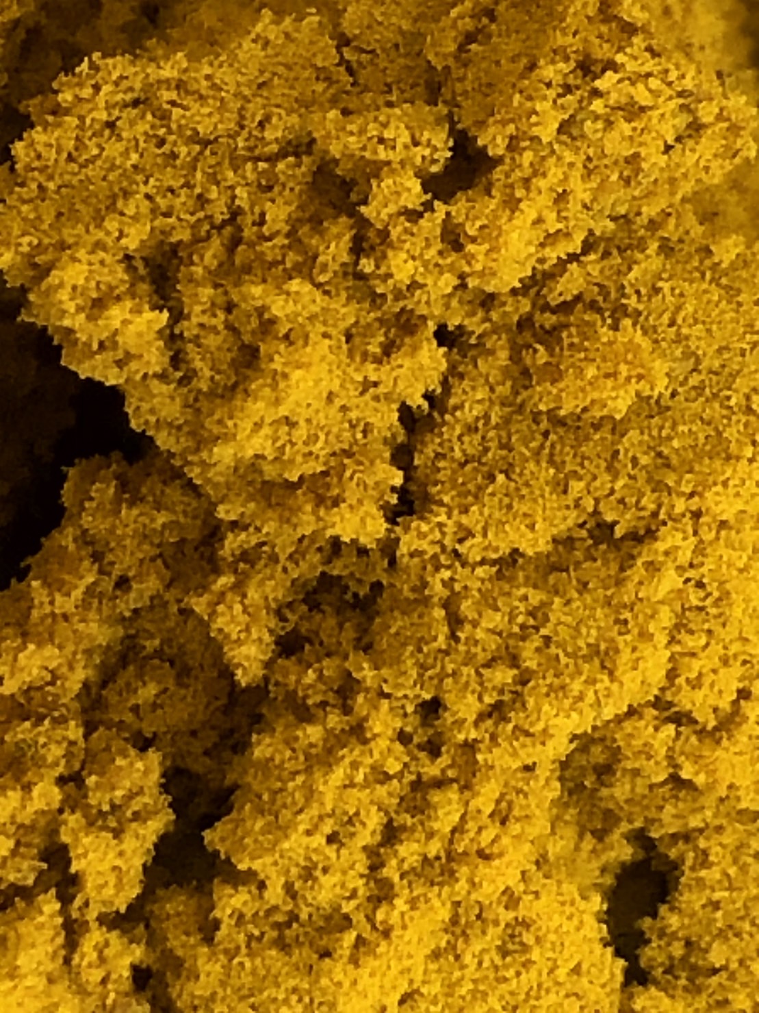 ผงขมิ้น ขมิ้นผง (Turmeric powder) ราคาถูกสุด ขมิ้นป่น ขมิ้นผง ขมิ้นชันคุณภาพเยี่ยม สีเหลืองทองอร่าม กลิ่นหอมสดชื่น Turmeric: Nature's Golden Spice. ผงขมิ้นชัน ราคาสุดคุ้ม คุณภาพเยี่ยม สีเหลืองทองอร่าม กลิ่นหอมสดชื่น ผลิตจากขมิ้นชันสดใหม่ คัดสรรคุณภาพ