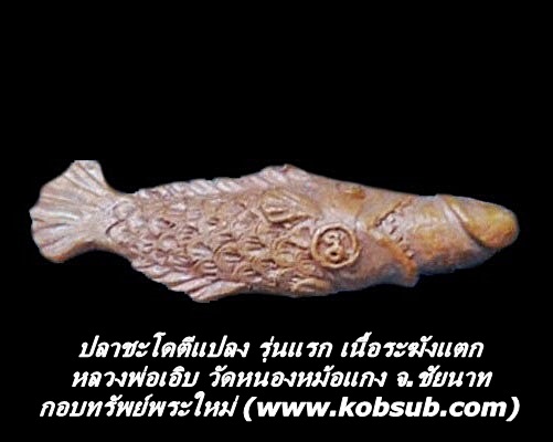 ปลาชะโดตีแปลง รุ่นแรก เนื้อระฆังแตก หลวงพ่อเอิบ วัดหนองหม้อแกง