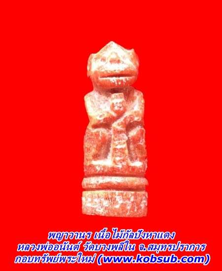 พญาวานร เนื้อไม้กัลปังหาแดง หลวงพ่ออนันต์ วัดบางพลีใน