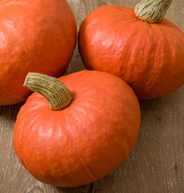 ฟักทองญี่ปุ่นสีส้ม F1 - Red chesnut Japanese Pumpkin F1