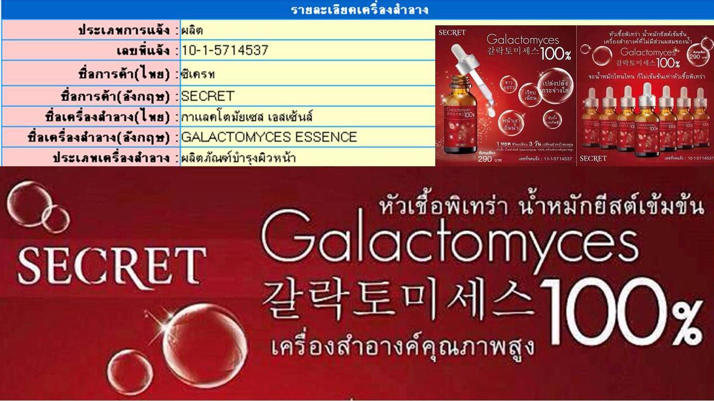 หัวเชื้อพิเทร่า Pitera Galactomyces