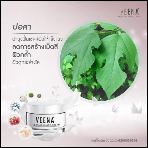วีน่า เมลาสมา ไวท์ ครีม VEENA Melasma White Cream