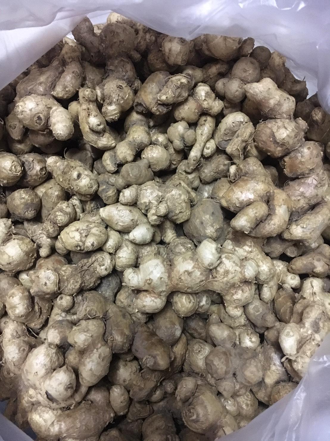 กระชายดำ ขนาด 1 กิโลกรัม ปลูกบนดอยเชียงใหม่ (ไม่ใช่ของนำเข้า)โสมไทย โสมกระชายดำ กระชายดำแห้ง ผลผลิตใหม่เดือนมีนาคม 2566 Black Galingale ช่วยบำรุงฮอร์โมนเพศชาย บำรุงหัวใจ ช่วยในระบบหมุนโลหิตของร่างกาย ช่วยให้กล้ามเนื้อแข็งแรง ช่วยให้นอนหลับ