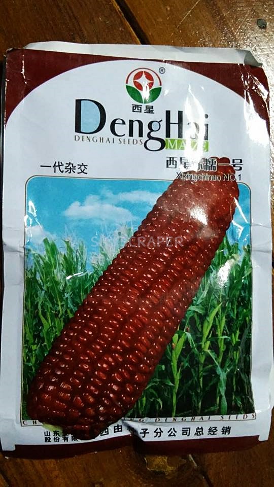 ข้าวโพดแว็กซี่สีแดง F1 - Red Waxy Corn F1