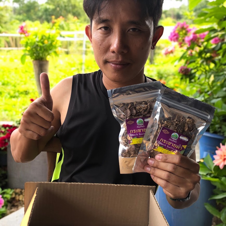 🌿 กระชายดำออร์แกนิคจากดอยเชียงใหม่ - สมุนไพรไทยแท้เพื่อสุขภาพ ขนาดทดลอง 50 กรัม 🌿 กระชายดำ (โสมไทย, โสมกระชายดำ) Black Galingale 🌿