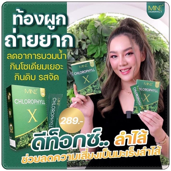 คลอโรฟิลล์ เอ็กซ์ CHLOROPHYLL X คลอโรฟิลล์มายมิ้น