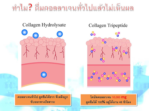 โดนัท คอลลาเจน รสมิกซ์เบอร์รี่ (Donut Collagen 10,000 mg. Mixberry Flavor)